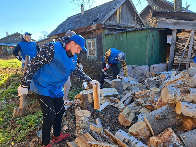 Волонтёры Молодой Гвардии «Расколка дров»